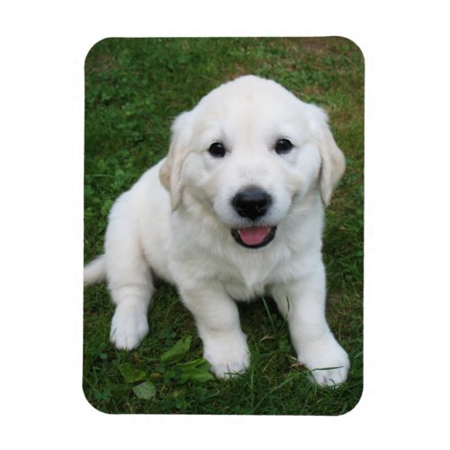 Custom Personalized Photo I Pet Picture Magnet