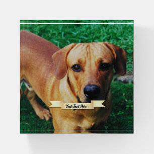 Custom Personalized Photo Paperweight