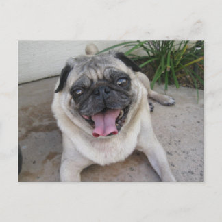 Custom Personalized Photo Postcard