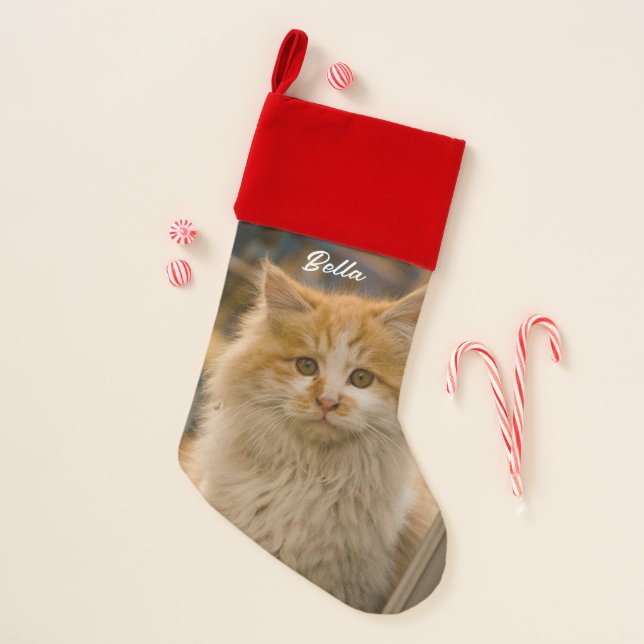 Custom Personalized Photo Stockings, Elegant Fam Christmas Stocking (Front)