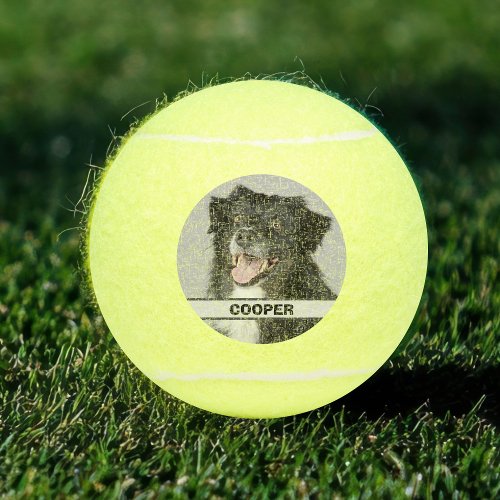 Custom Personalized Tennis Player Photo Pet Dog Tennis Balls
