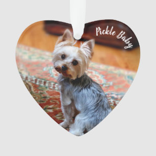 Custom  Pet 2 Photo Name Christmas Ornament
