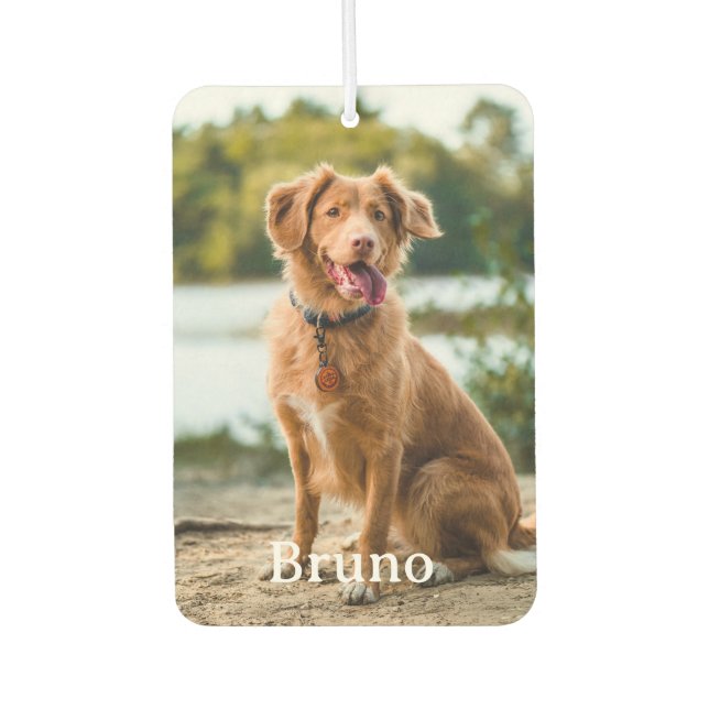 Custom Pet 2 Photo Name Dog Lovers  Air Freshener (Front)