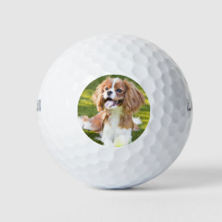Custom Pet Add Your Photo Golf Balls