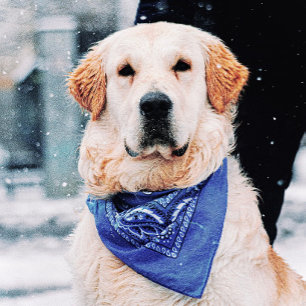 Custom Pet Bandana – Stylish & Personalized Collar