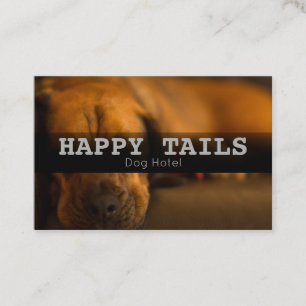 Custom Pet Boarding Hotel Sitting Services Business Card