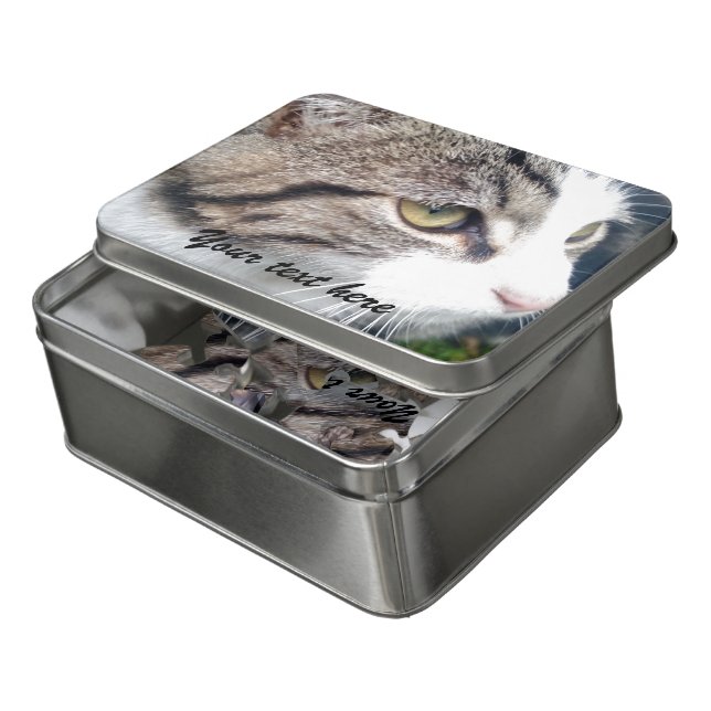 Custom pet cat animal photo Acrylic Puzzle gift (Lid Open)