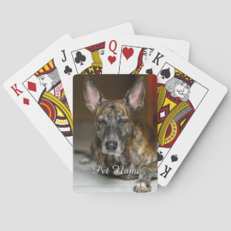 Custom Pet Cat Dog Photo  Poker Cards