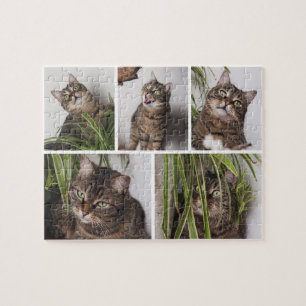 Custom Pet Cat Photo Collage Jigsaw Puzzle