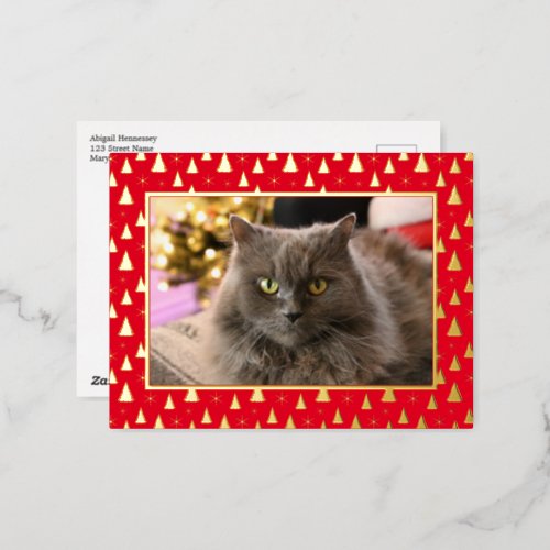 Custom Pet Cat Photo Meowy Christmas Tree Gold Foil Holiday Postcard