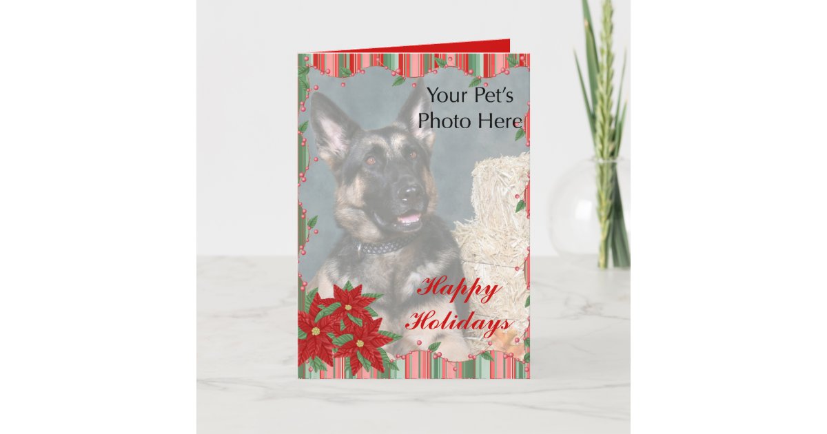 Custom Pet Christmas cards | Zazzle.com