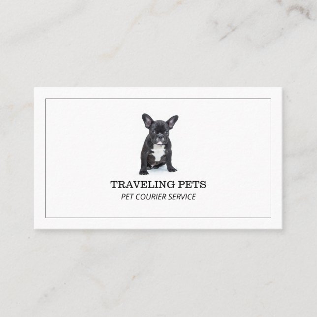 Custom Pet Courier Business Card (Front)