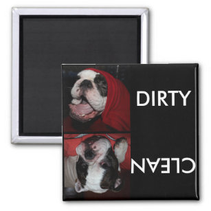 Custom Pet Dishwasher Clean or Dirty Magnet