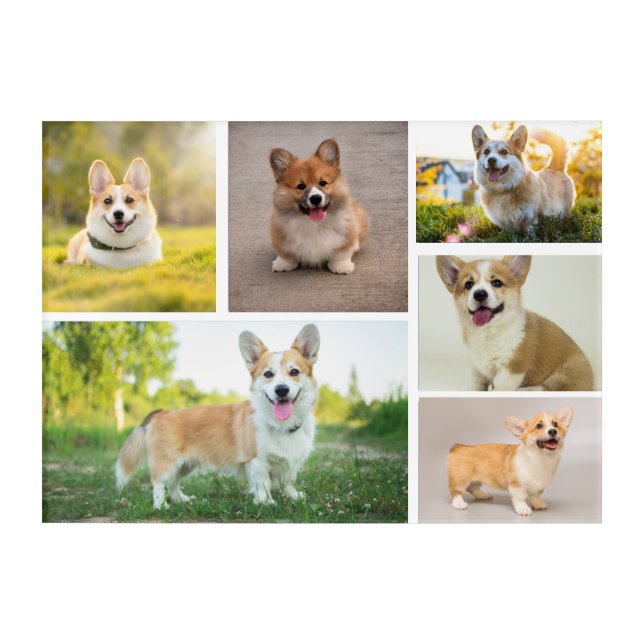 Custom Pet Dog  6 Acrylic Print (Front)