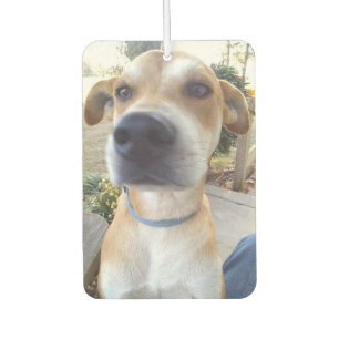 Custom Pet Dog Photo Air Freshener