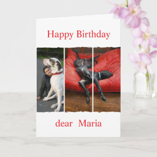 Custom pet (dog) photo and message card