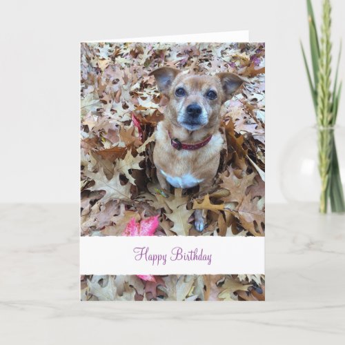 Custom pet dog photo and message card