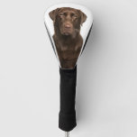 Custom Pet Dog Photo Chocolate Labrador Golf Head Cover
