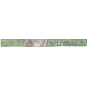 Custom Pet Dog Photo Elastic Hair Tie