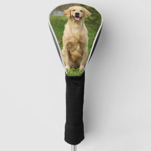 Custom Pet Dog Photo Golden Retriever Golf Head Cover