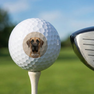 Custom Pet Dog Photo Great Dane Personalized Golf Balls