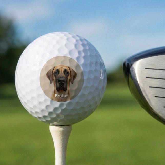 Custom Pet Dog Photo Great Dane Personalized Golf Balls (Custom Pet Dog Photo Great Dane Personalized Golf Balls.Great gift idea for golfer dad.)