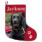 Custom Pet Dog Photo Holiday Red Personalized 