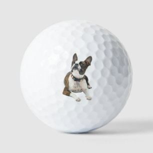 Custom Pet Dog Photo Modern Personalized Golf Ball