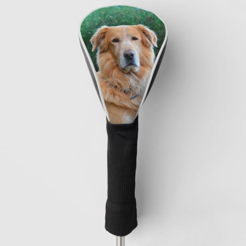 Custom Pet Dog Photo Personalized   Golf Head Cover
