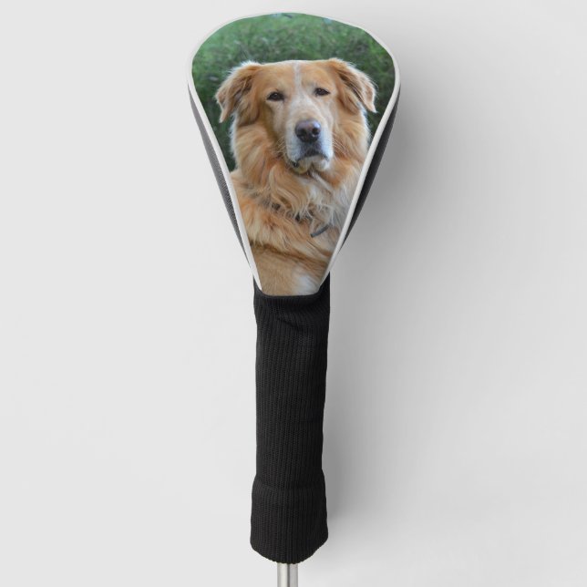 Custom Pet Dog Photo Personalized   Golf Head Cover (Front)
