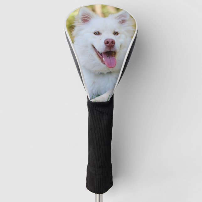 Custom Pet Dog Photo Personalized Golf Head Cover (Front)