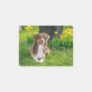 Custom Pet Dog Photo Personalized Post-it Notes