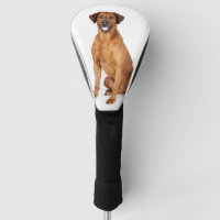Custom Pet Dog Photo Rhodesian Ridgeback