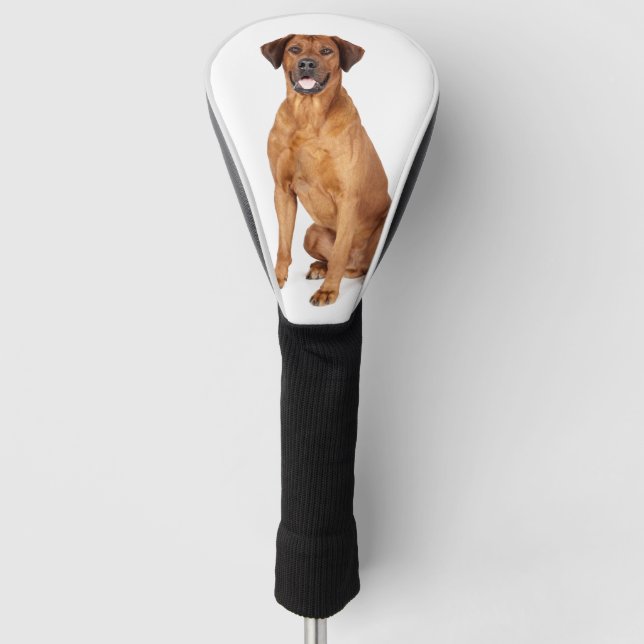 Custom Pet Dog Photo Rhodesian Ridgeback Golf Head Cover (Front)