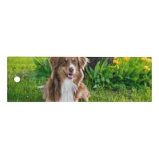 Custom Pet Dog Photo Ruler
