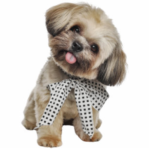 Custom Pet Dog Photo Sculpture Cutout