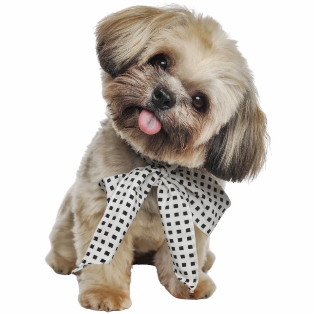 Custom Pet Dog Photo Sculpture Cutout (Front)