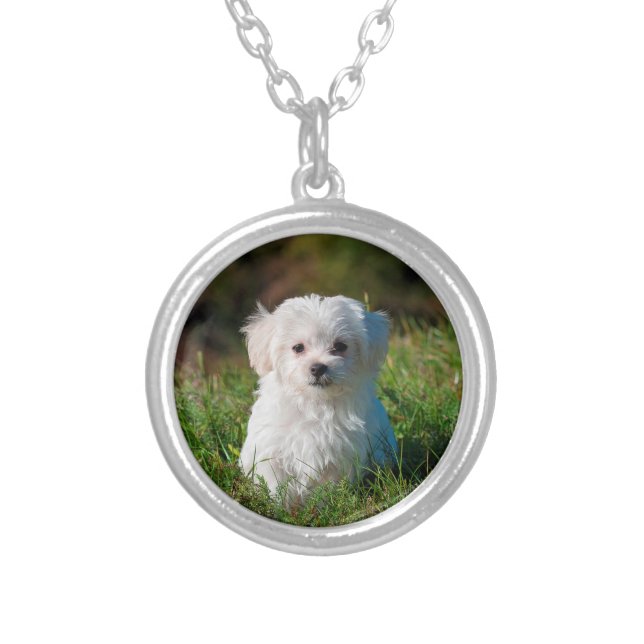 Custom Pet Dog Photo Silver Plated Necklace (Front)