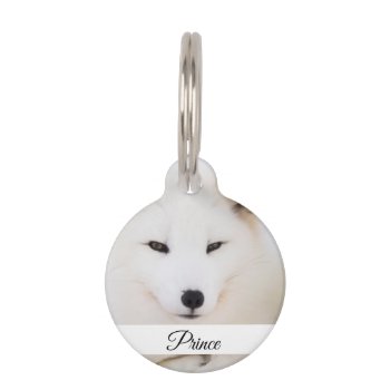 Custom Pet Dog Photo Your Animal With Name Pet Id Tag by Nordic_designs at Zazzle