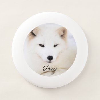 Custom Pet Dog Photo Your Animal With Name Wham-o Frisbee by Nordic_designs at Zazzle