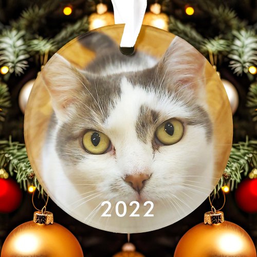 Custom Pet Family Photo Text Christmas Holiday Ornament