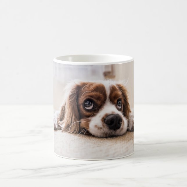 Custom Pet Grandchild Family Favorite Photo Mug (Center)