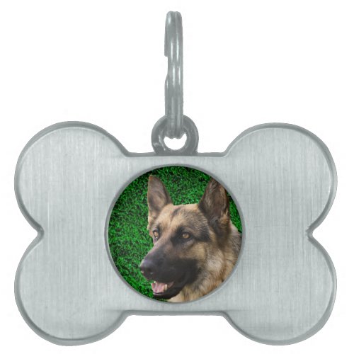Custom Pet ID Tags  Personalized Dog Photo Pet  Pet ID Tag