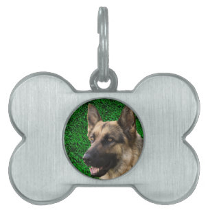Custom Pet ID Tags   Personalized tag Dog  Luggage
