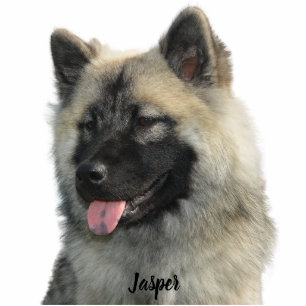 Custom Pet Keepsake Using Your Photo Name Cutout