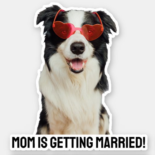 Custom Pet Lover Dog Or Cat Wedding Announcement Sticker