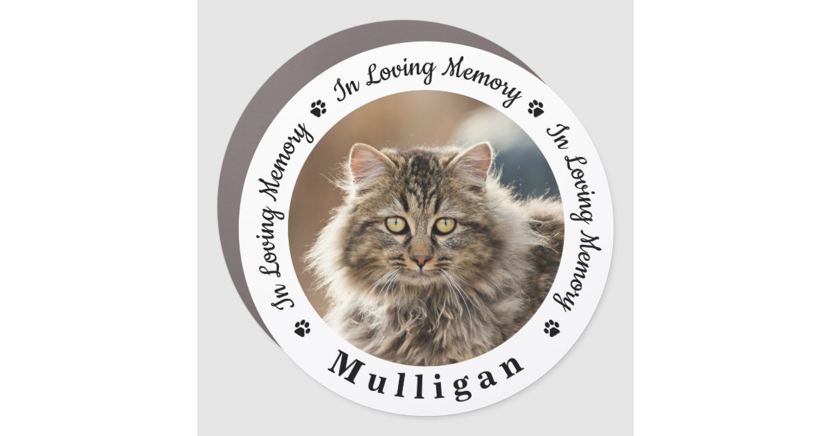 Custom Pet Memorial Cat Loss Keepsake Photo Car Magnet | Zazzle
