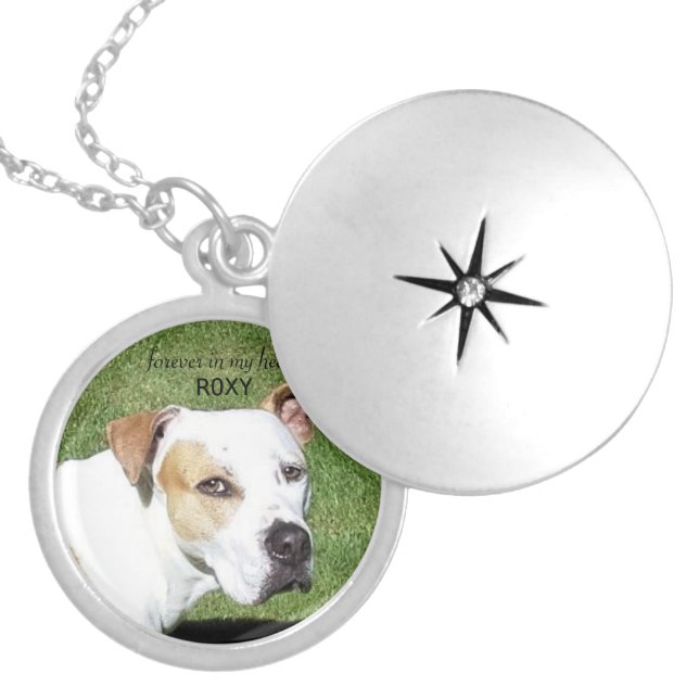 Custom pet memorial locket (Front)