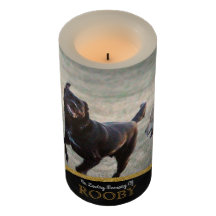 cat memorial candle