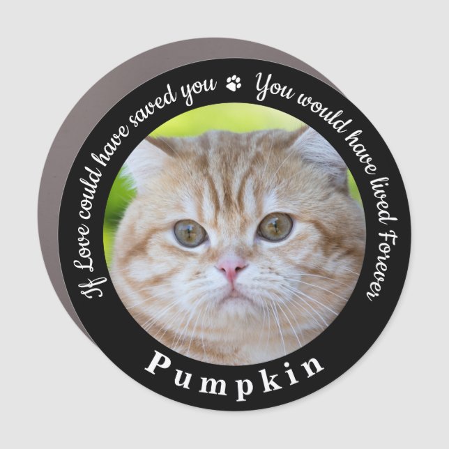Custom Pet Memorial Pet Loss Keepsake Cat Photo Car Magnet (Front)